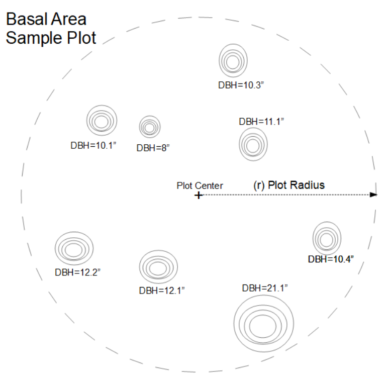 Tree Basal Area per Acre