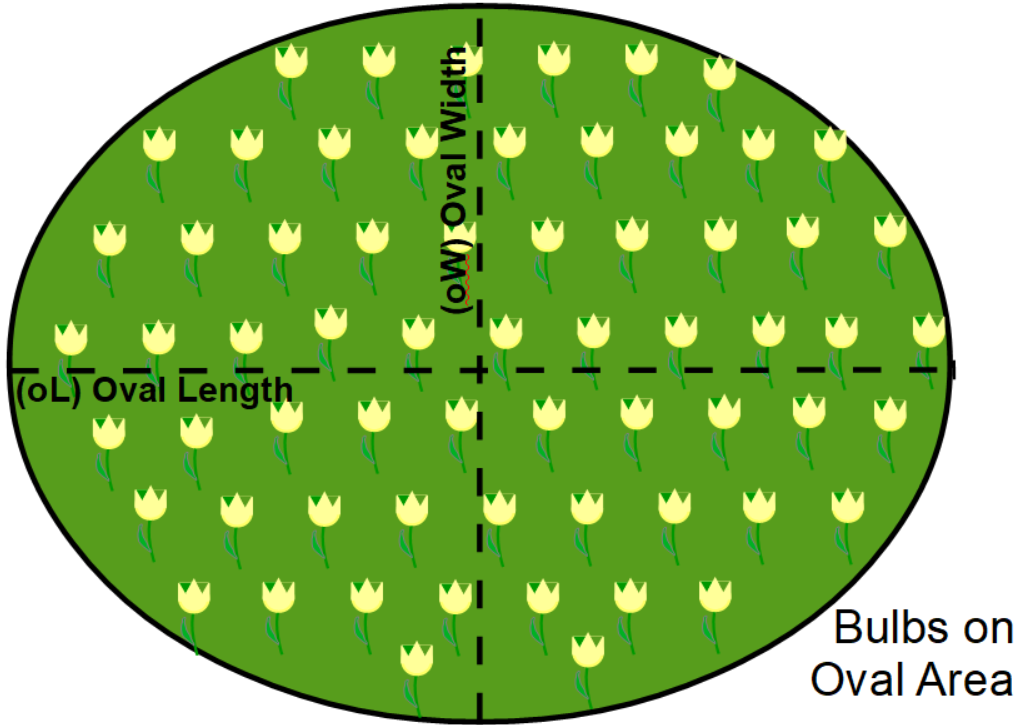 Bulbs spread across oval area graphic.