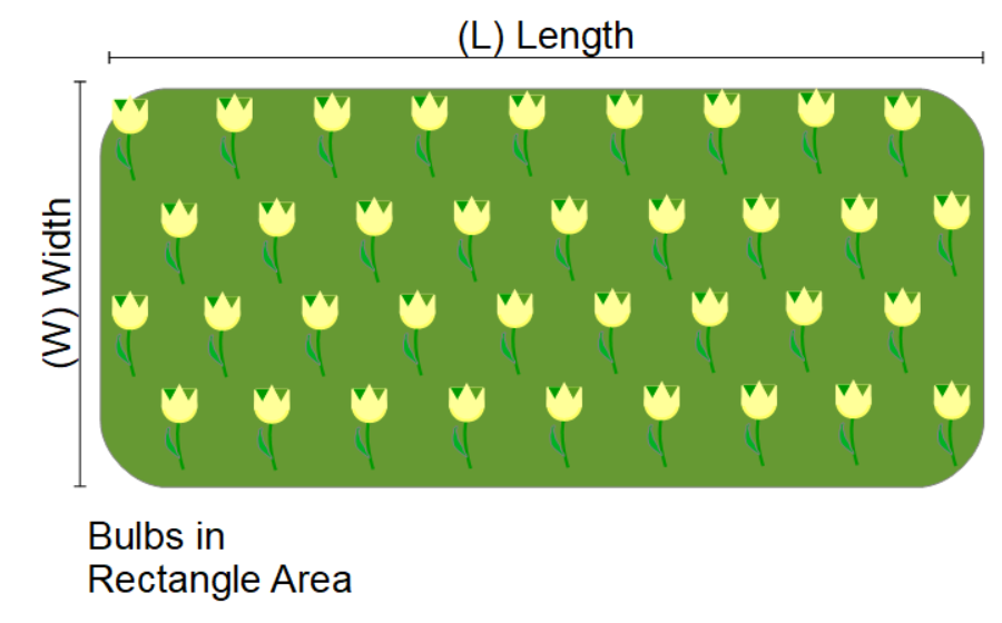 Bulbs spread across rectangle area graphic.