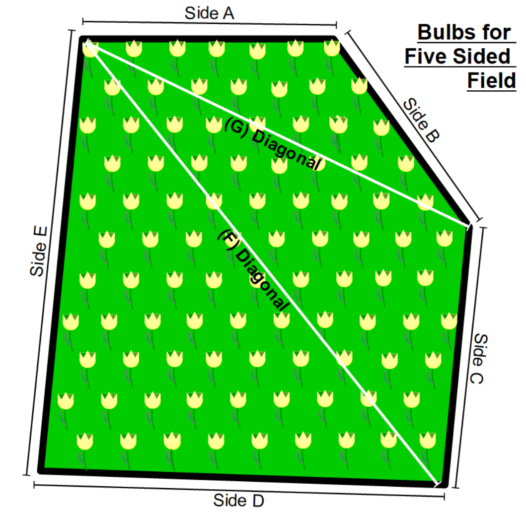 Bulbs spread across five sided area graphic.