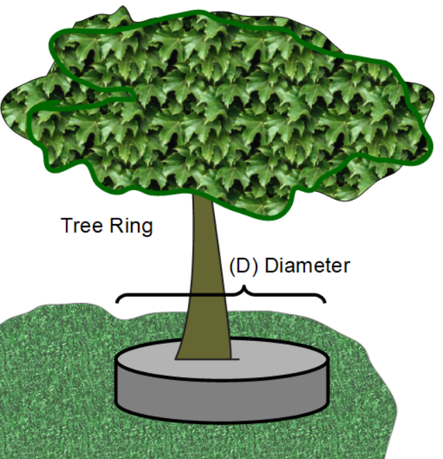 Tree ring diagram