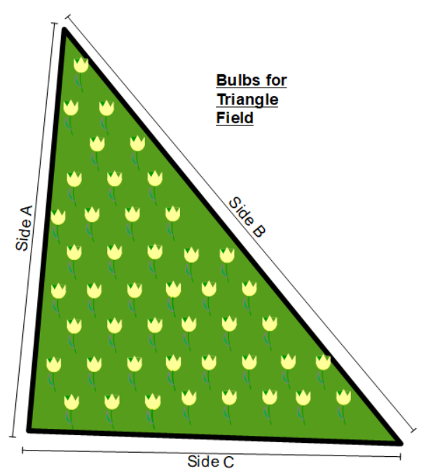 Bulbs spread across triangular area graphic.