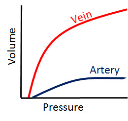 Vascular Compliance