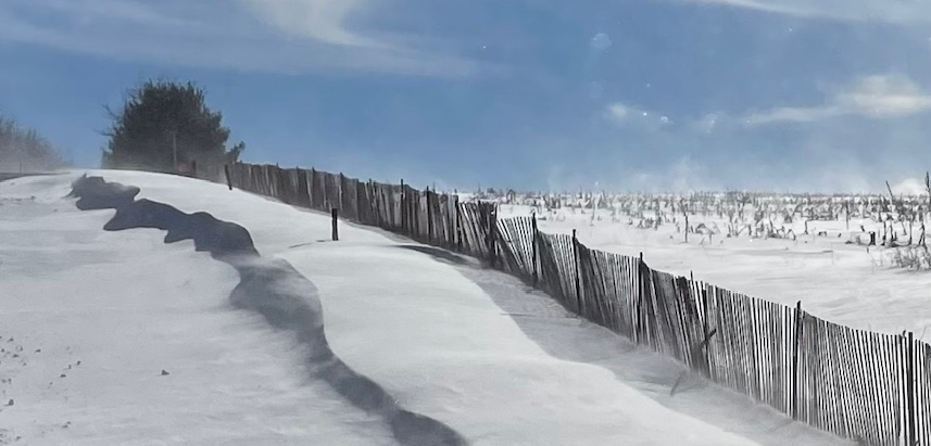 Snow Fences Save Time And Trouble