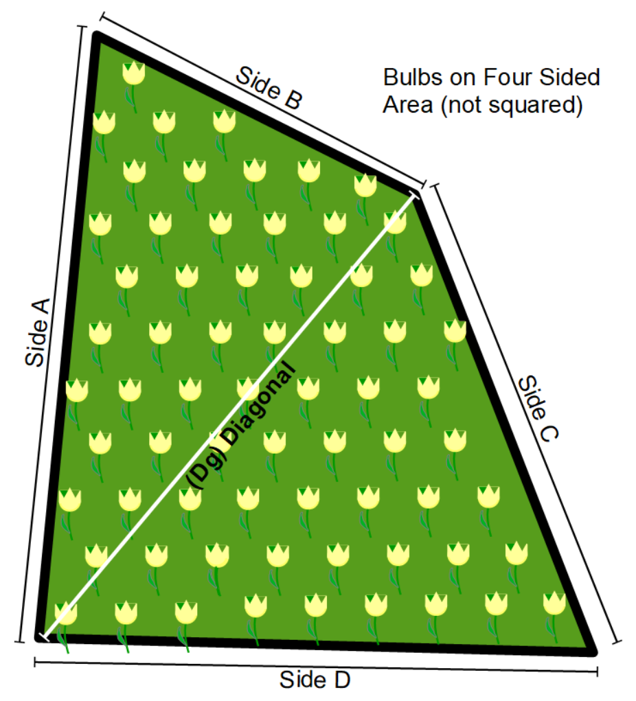 Bulbs spread across four sided area graphic.