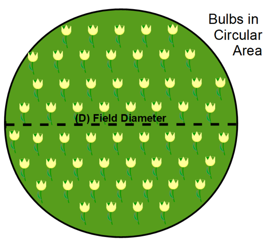 Bulbs spread across circular area graphic.